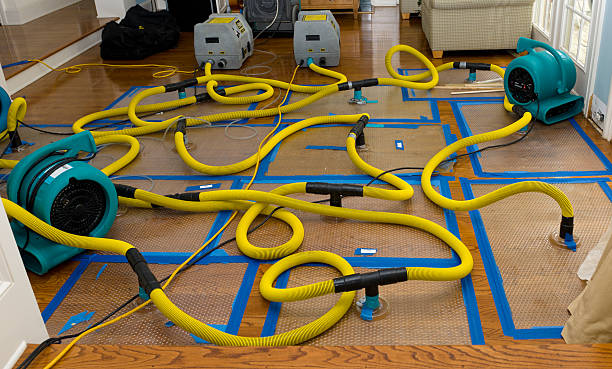 Professional Sewage Cleanup technician working in Jasper, MI